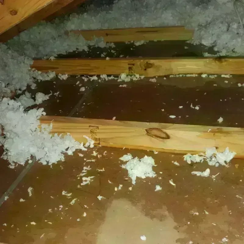 Attic Water Damage in Killingly Center, CT