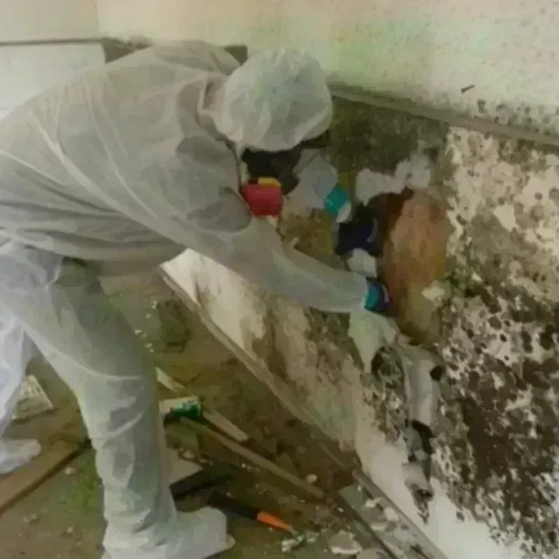 Mold Remediation and Removal in Killingly Center, CT